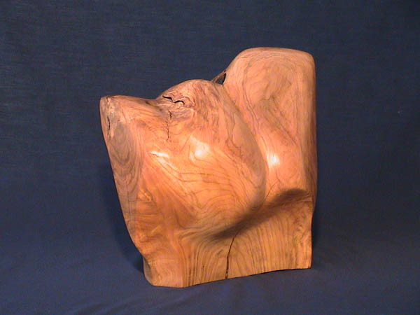 Female torso.jpg